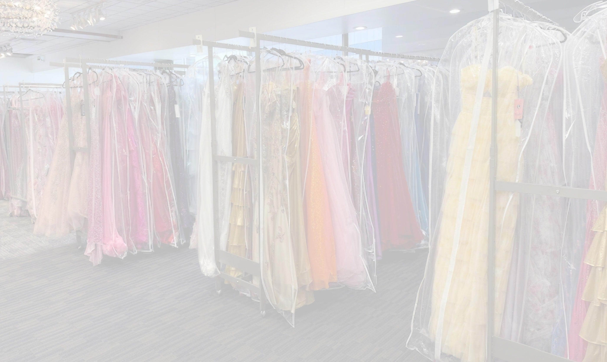 Photo of the showroom interior