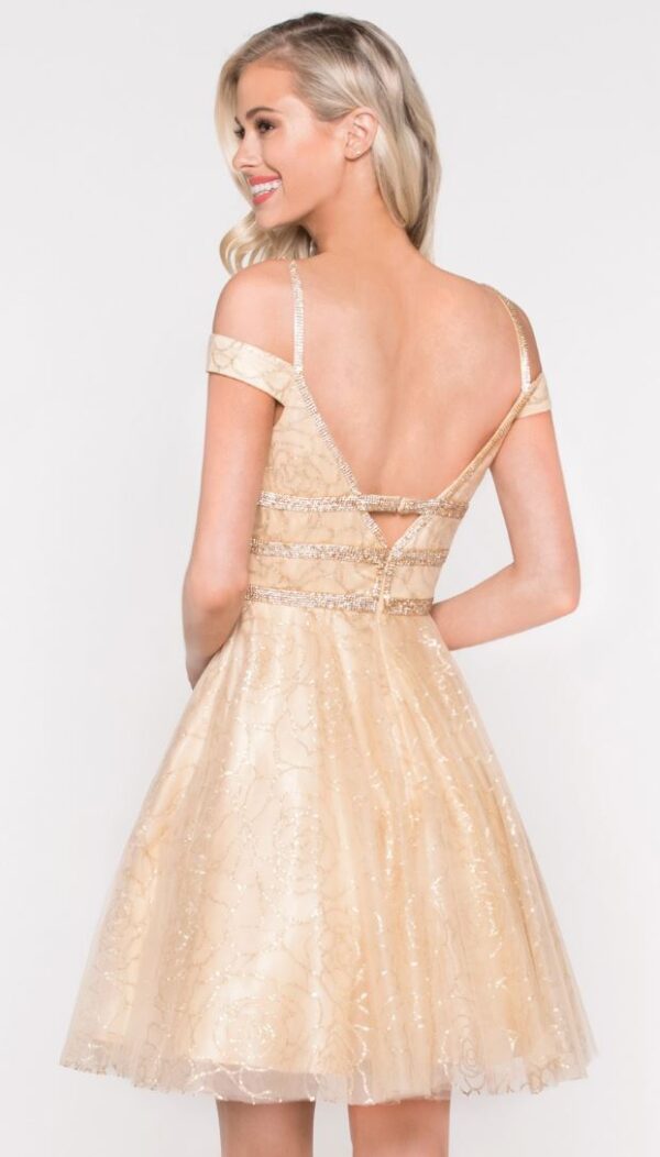 back of gold dress
