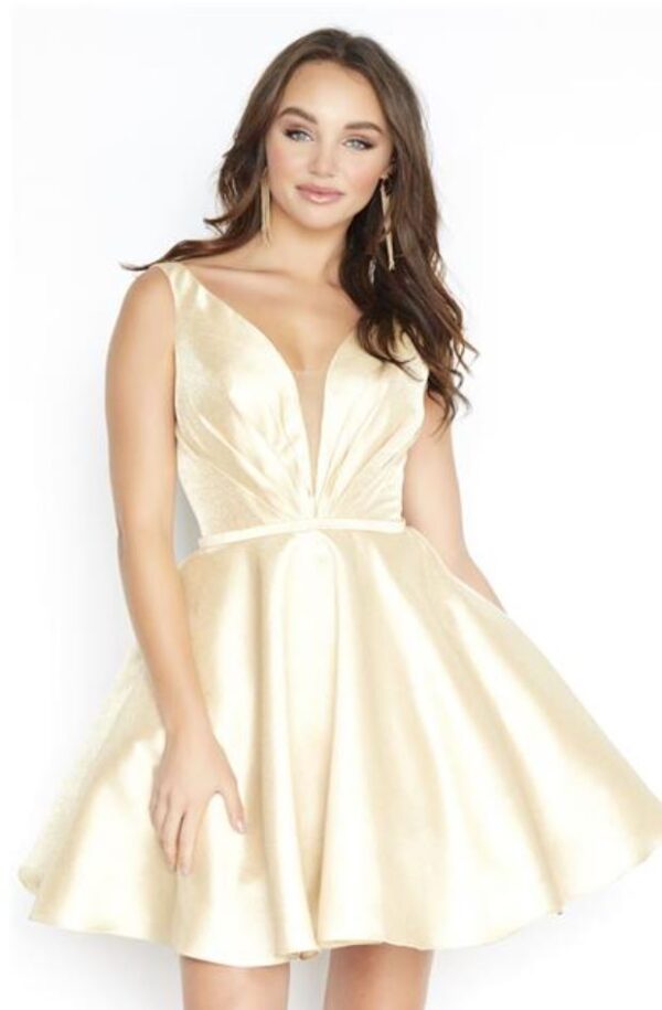 Champagne fit and flare dress