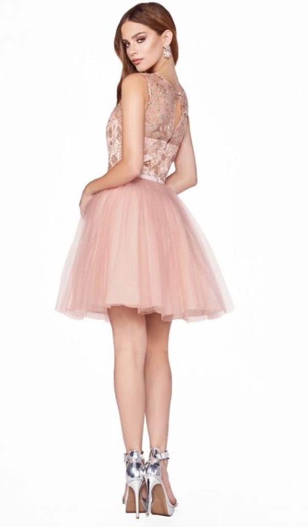 back of pink tulle dress
