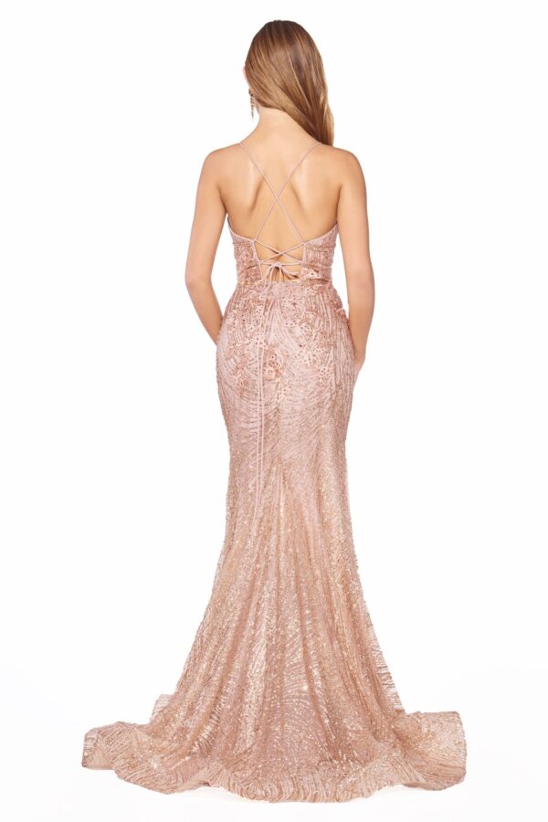 back of sequined gown