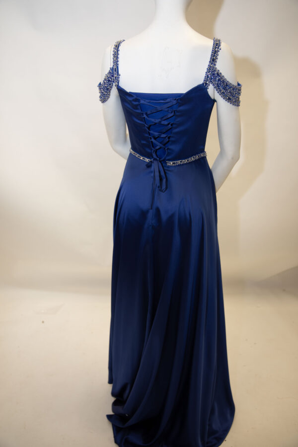back of sapphire gown