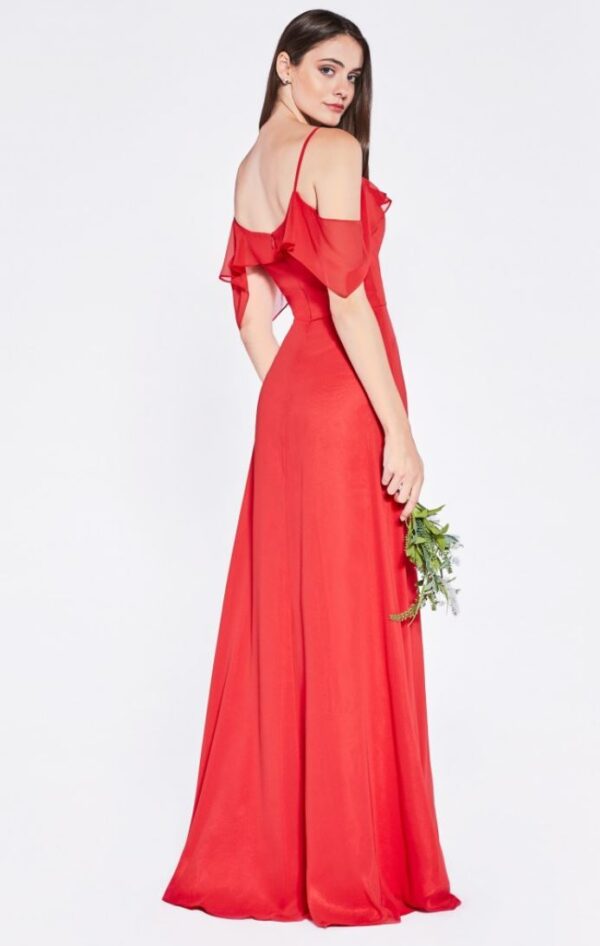 back of red dress on model