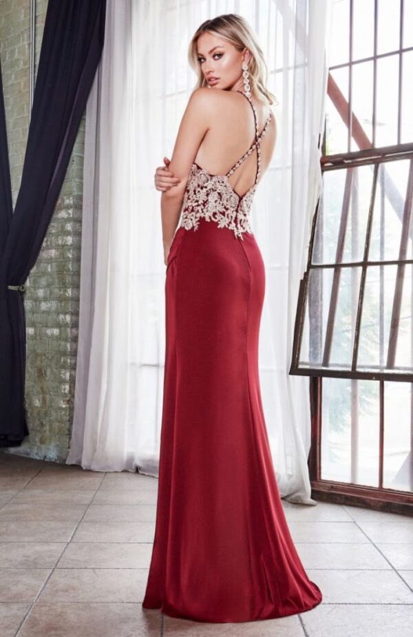 back of burgundy gown
