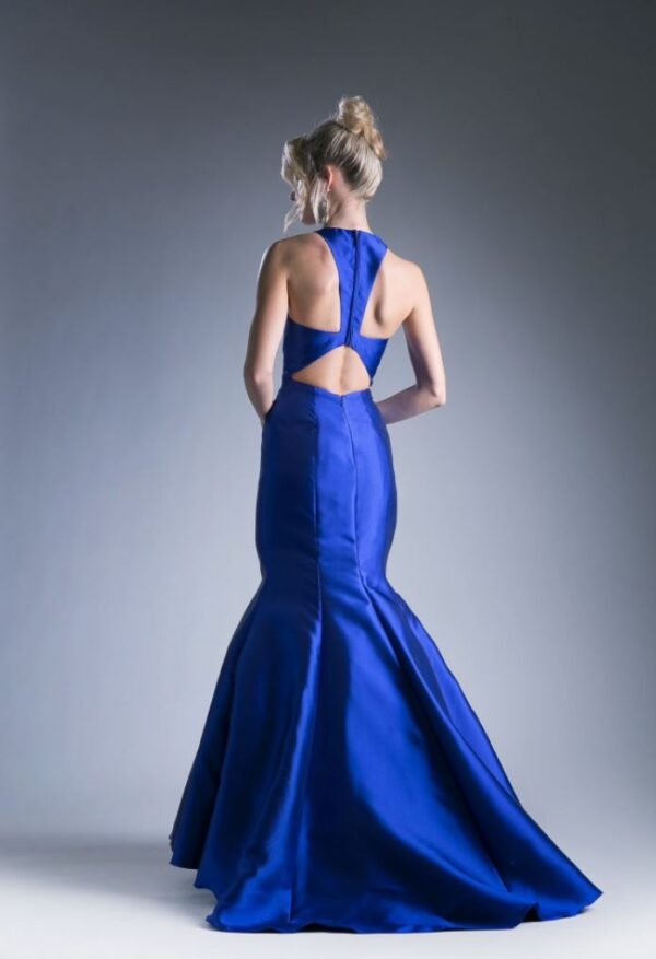 back of fitted gown