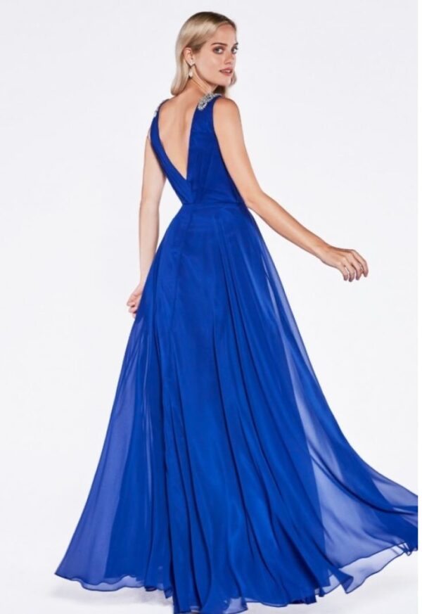 back of royal blue dress