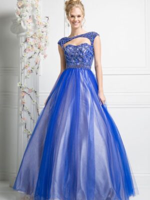 royal blue ballgown