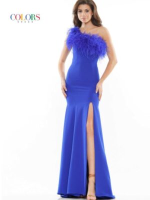 royal blue dress with feathers