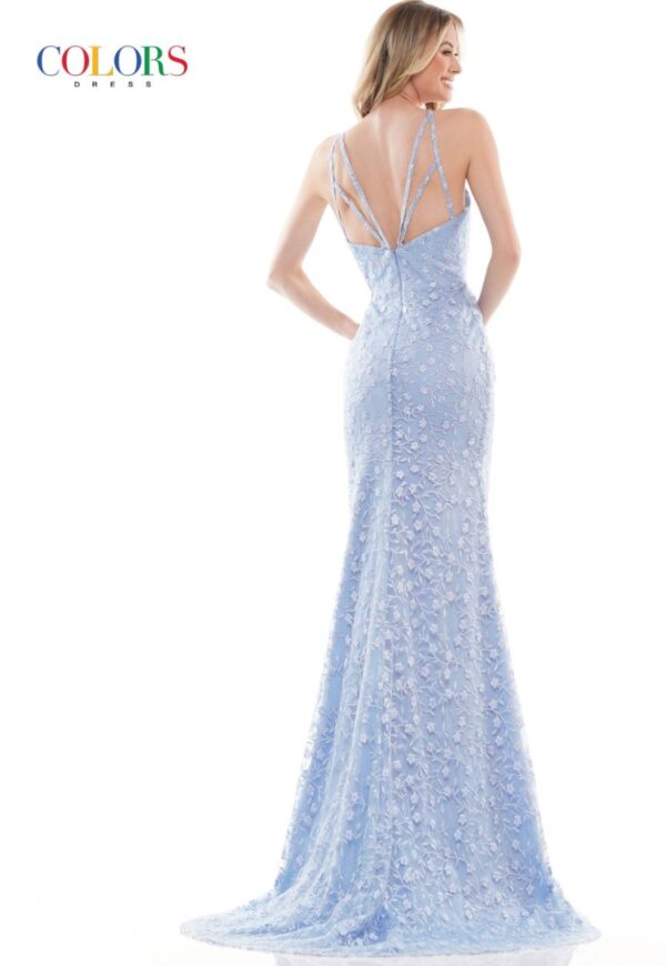 back of dusty blue gown